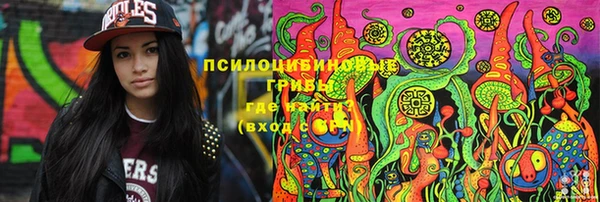 прущая мука Осинники