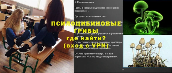 apvp Остров